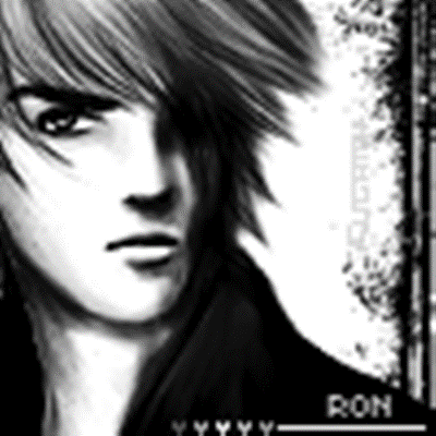 41452.gif