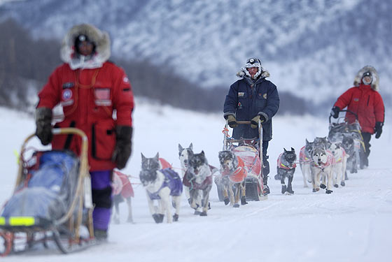 ny_dog_sled_560x375_012006_.jpg