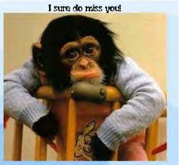 monkey..i_sure_do_miss_u.JPG