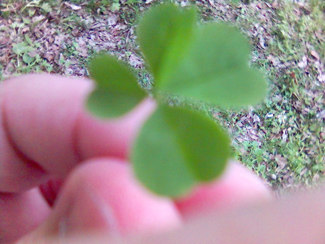 Picture_14_.jpg