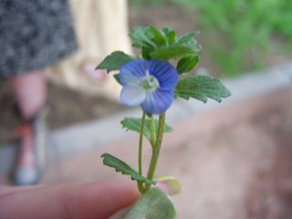 100_2102__320x200_.jpg