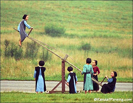 sharing_the_seesaw.jpg