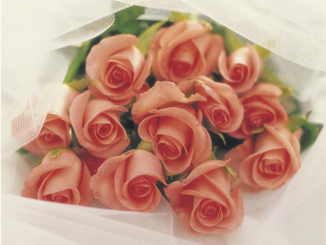 image_a3c2098a8c7b1e9994d9bc270a43a671_bouquet_de_roses.jpg