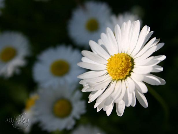 post_25_1180516496.jpg