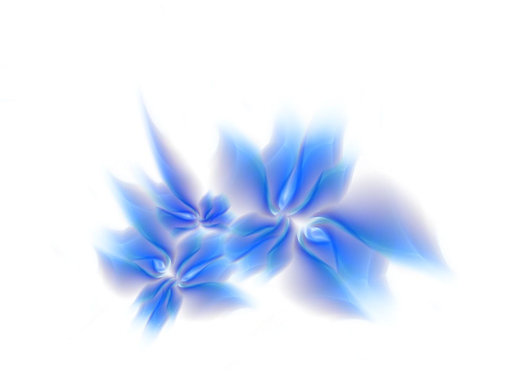 3d_flowers.jpg