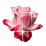 6a7951d9f818d2b03d78766af1bfc1d9.gif
