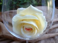 rosechocolat_1_.jpg