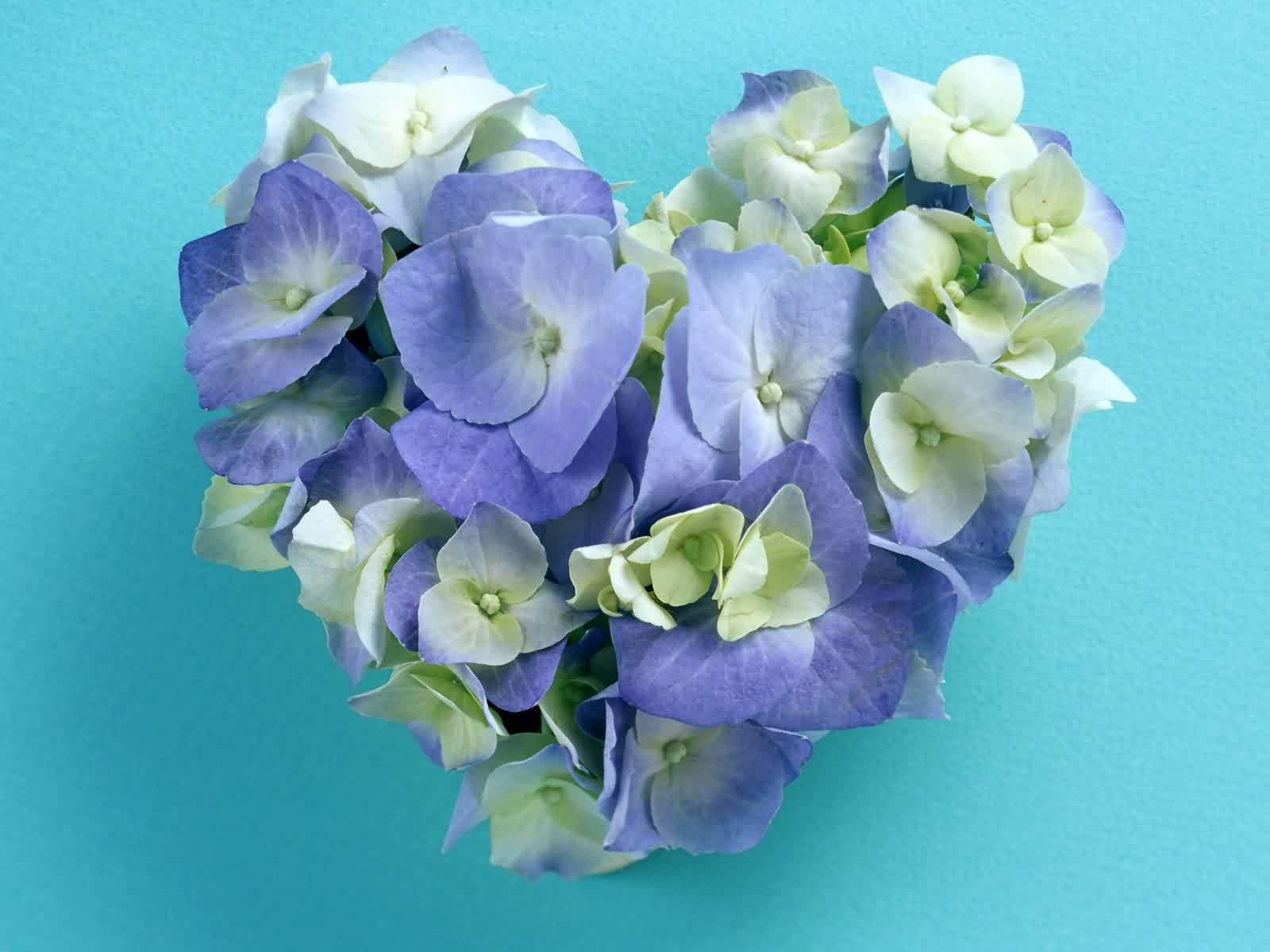 valentine__8_.JPG