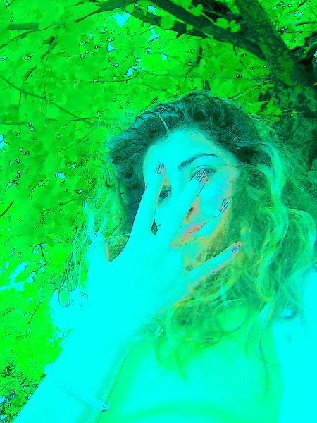 100_3526__800x600_.jpg