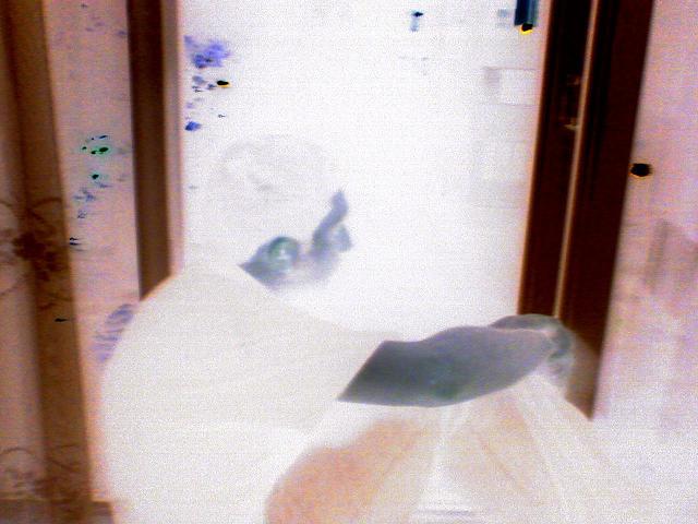 04062007_013_.jpg