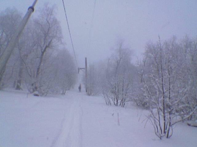Picture_373.jpg