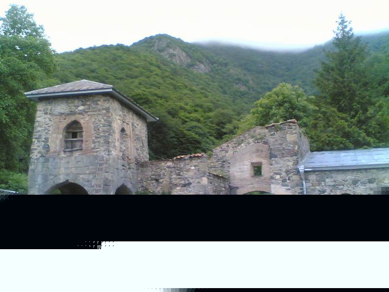 qvataxevii.jpg