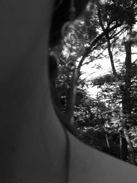 Picture_004.jpg