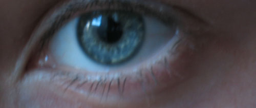 Picture_011.jpg