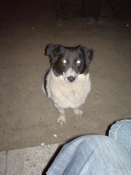 DSC01918_resize.jpg