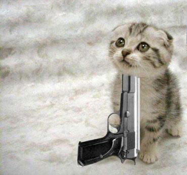 catgun704528df0.jpg