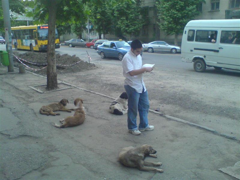 DSC00562__Medium_.JPG