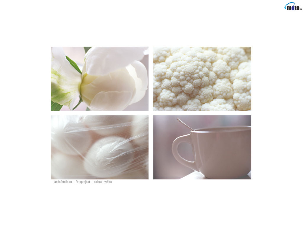 food_092.jpg