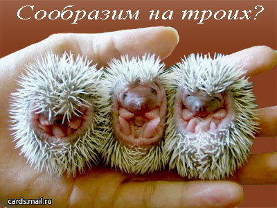 Soobrazimna33.jpg