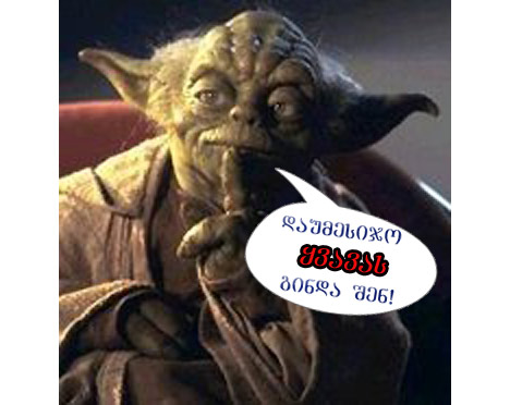 yoda_yvava.jpg