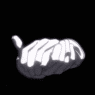avatar65fo.gif