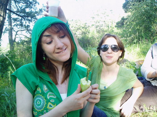 post_25_1177701534.jpg