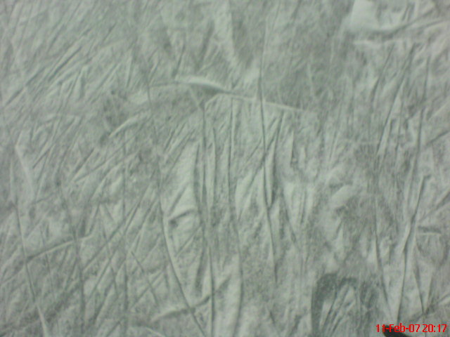 DSC00120.JPG