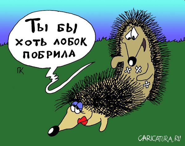 lobok.jpg