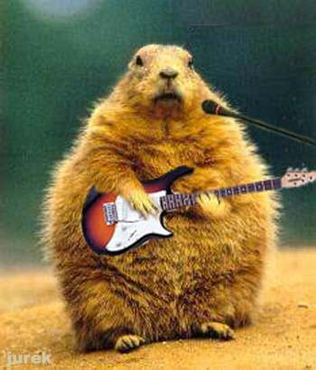 gitara.jpg