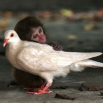Love_Has_No_Borders.jpg