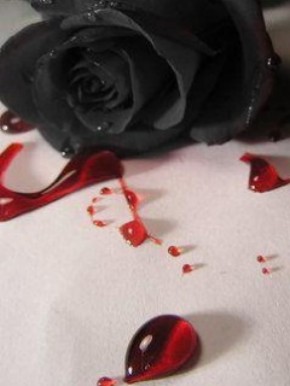 Killed_Rose.jpg
