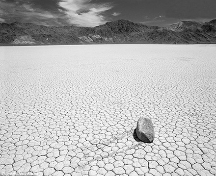 AAD_0170_im.jpg
