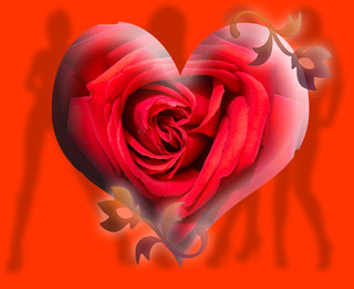 love_heart_rose1s2.jpg