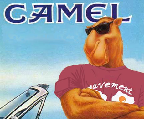up_camel_lrg.jpg