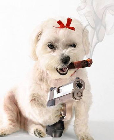 psycho_dog.jpg