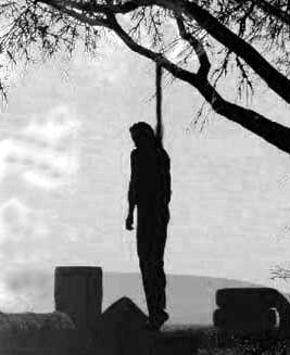 Hanging2.jpg