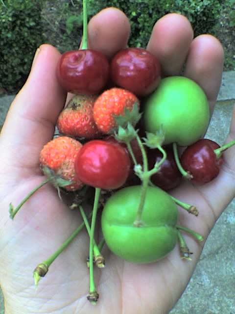 17_06_07_1815.jpg