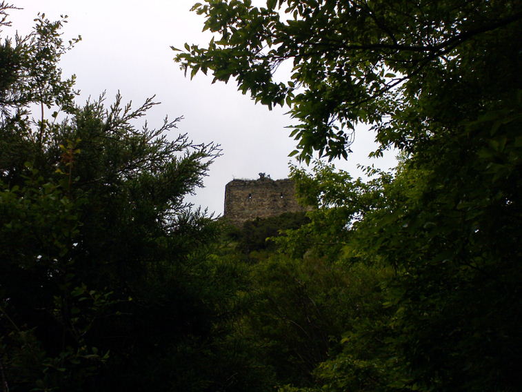 111.jpg