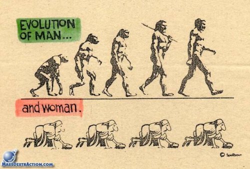 evolution.jpg