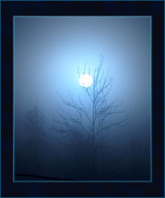 Ice_fog_sun_2_08_3.jpg
