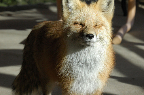 120963057_3d9352e03c.jpg
