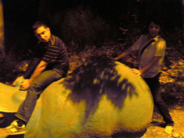 12345.JPG