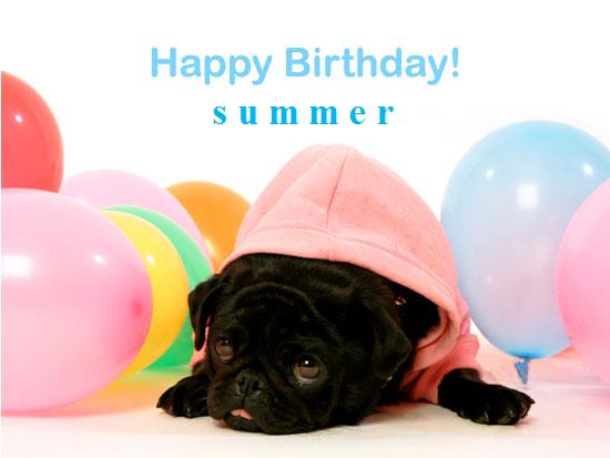 1164053670pug_birthday.jpg