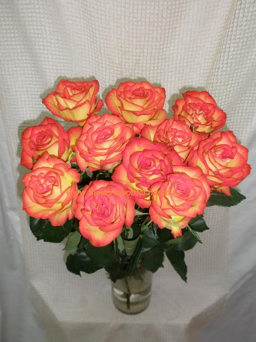 photo37.jpg
