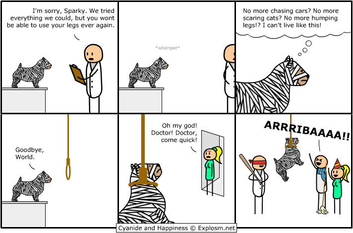 arrribaaaa.png