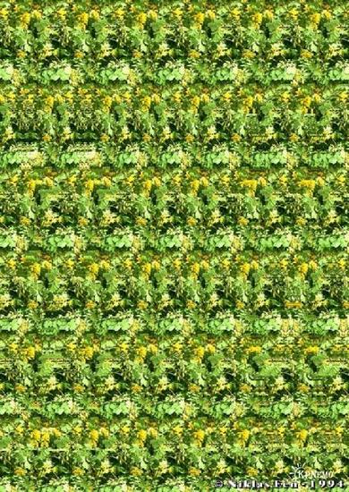 71dea560d0ce.jpg