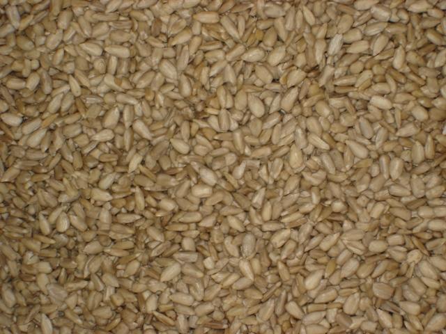 Hulled_Sunflower_Kernels_Bakery_Grade.jpg