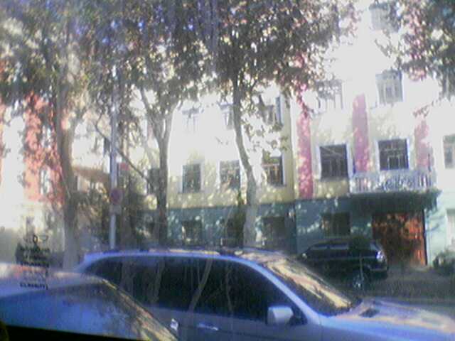 03122008244.jpg