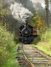 train1.jpg