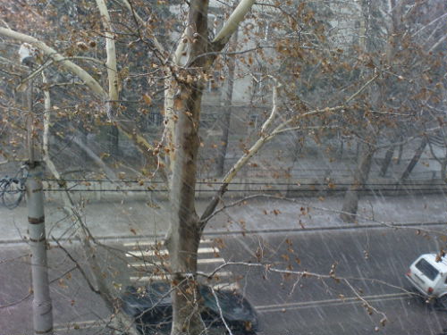 DSC00112.jpg